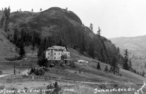 thumbnail of image