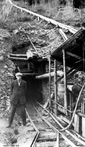 thumbnail of image