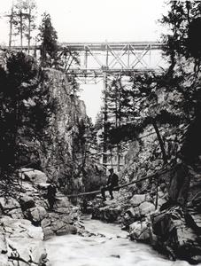 thumbnail of image