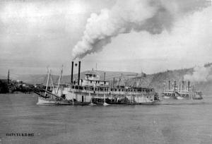 thumbnail of image