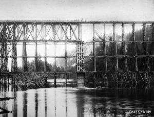 thumbnail of image