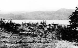thumbnail of image