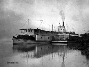 thumbnail of image