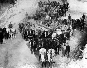 thumbnail of image