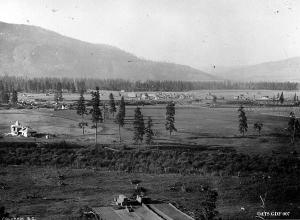 thumbnail of image