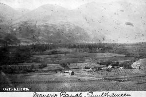thumbnail of image