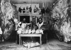 thumbnail of image
