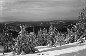 thumbnail of image