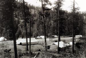 thumbnail of image