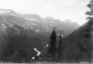 thumbnail of image