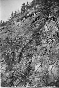 thumbnail of image