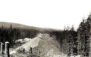 thumbnail of image