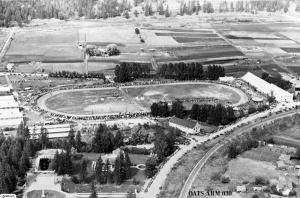 thumbnail of image