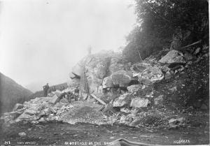 thumbnail of image