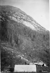 thumbnail of image