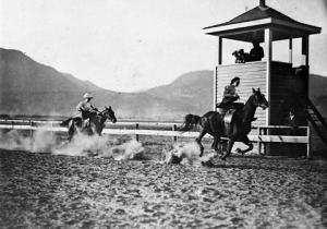 thumbnail of image