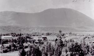 thumbnail of image