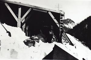 thumbnail of image