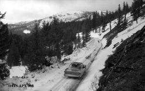 thumbnail of image