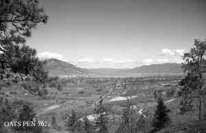 thumbnail of image