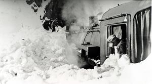 thumbnail of image