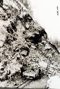 thumbnail of image