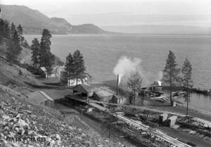 thumbnail of image