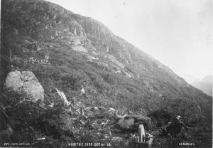 thumbnail of image