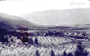 thumbnail of image