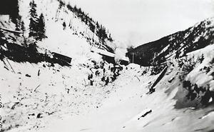 thumbnail of image