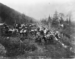 thumbnail of image