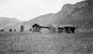 thumbnail of image