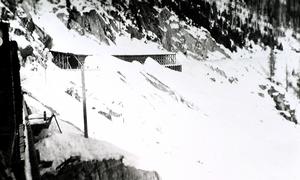 thumbnail of image