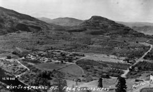 thumbnail of image