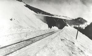 thumbnail of image