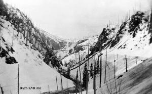 thumbnail of image