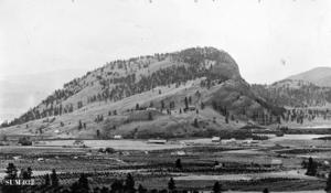 thumbnail of image