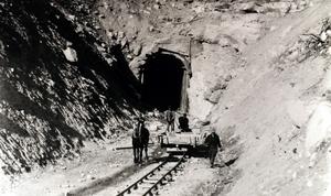 thumbnail of image