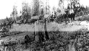 thumbnail of image