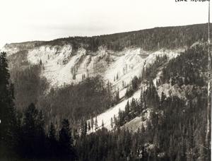 thumbnail of image
