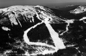 thumbnail of image