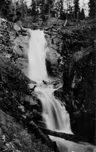 thumbnail of image