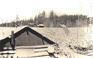 thumbnail of image