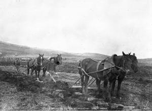 thumbnail of image