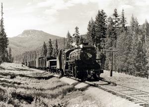 thumbnail of image