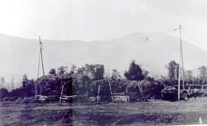 thumbnail of image