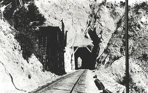 thumbnail of image
