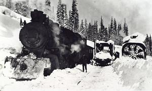 thumbnail of image