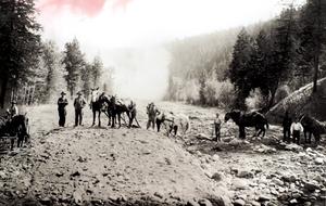 thumbnail of image
