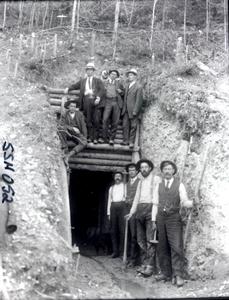 thumbnail of image